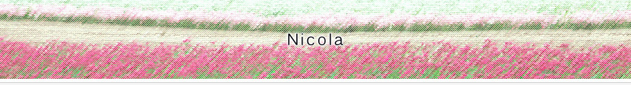 Nicola